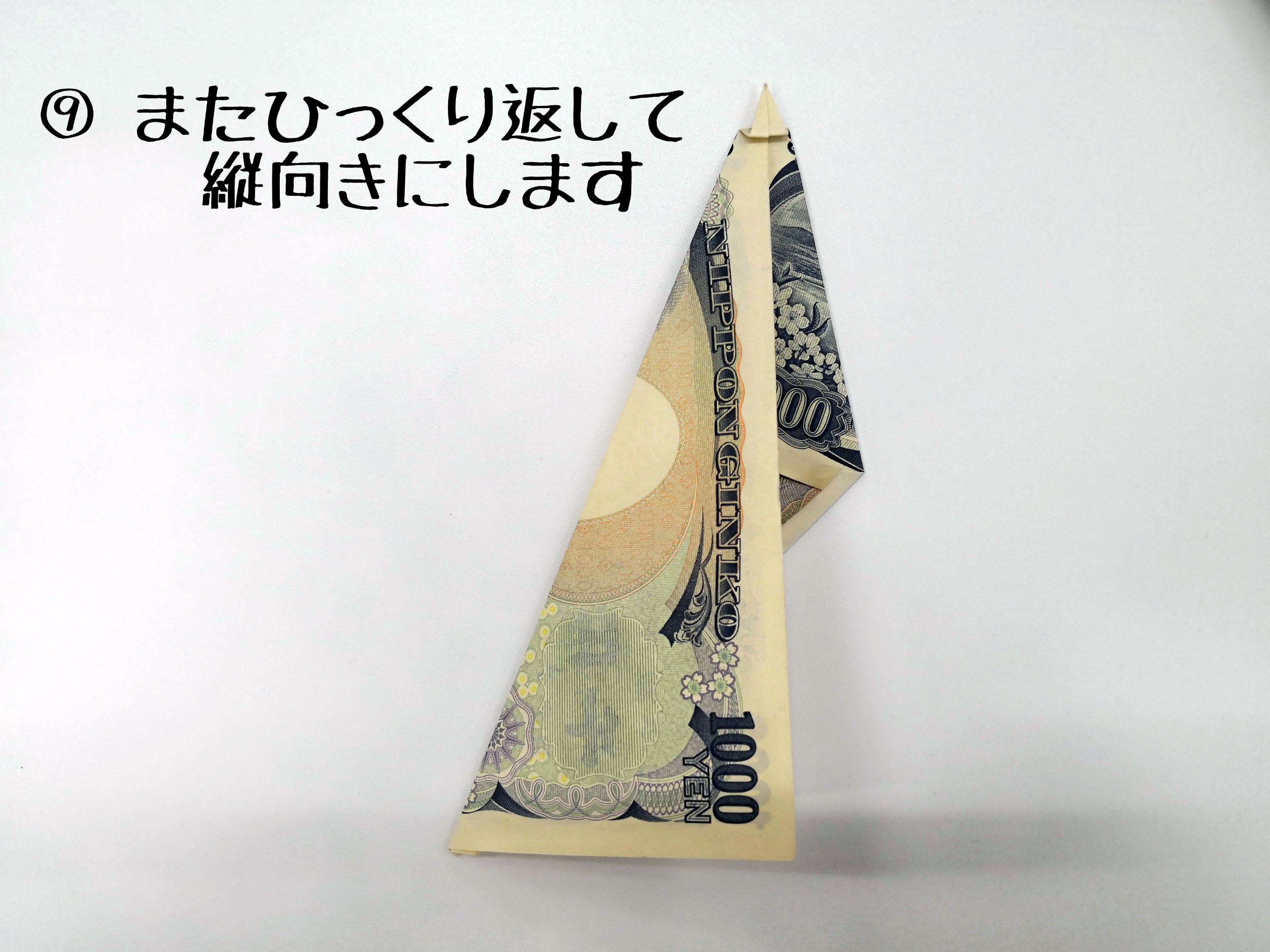 Piro Money Origami World